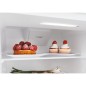 NUOVO MODELLO CANDY FRIGO COMBI CBL5519EVW Candy Cod. 34901391 Frigoriferi Da Incasso NUOVO MODELLO CANDY FRIGO COMBI CBL5519EVW Candy Cod. 34901391 Frigoriferi Da Incasso