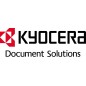 NUOVO MODELLO LICENZA SCANNERVISION - 1 ANNO Kyocera Cod. 870LSSV001 Stampanti e Multifunzione Laser e Ink-Jet - Accessori Acce