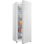 NUOVO MODELLO Hisense FREEZER BIANCO 155L CLASSE E Cod. FV191N4AW2 Verticali