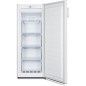 NUOVO MODELLO Hisense FREEZER BIANCO 155L CLASSE E Cod. FV191N4AW2 Verticali