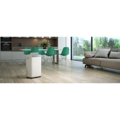 PROMOZIONE Olimpia Splendid AQUARIA S1 20 P Cod. 02064 DA 13 A 24 LITRI/24 H