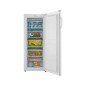 PROMOZIONE Comfeè CONG VERTICALE 157L 55 X 144 E Cod. RCU219WH2 Verticali PROMOZIONE Comfeè CONG VERTICALE 157L 55 X 144 E Cod. RCU219WH2 Verticali