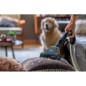PROMOZIONE Hoover TRAINO C/SACCO HE721PAF 011 Cod. 39002315 Aspirapolvere con Cavo