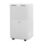 PROMOZIONE Argoclima DEUMI 11L 15MQ LILIUMART11 Cod. 492000093 FINO A 12 LITRI/24 H