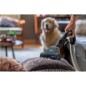 PROMOZIONE Hoover TRAINO C/SACCO HE721PAF 011 Cod. 39002315 Aspirapolvere con Cavo