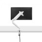 PROMOZIONE Fellowes BRACCIO MONITOR SINGOLO PLATINUM Cod. 8056201 Accessori supporti