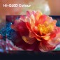 PROMOZIONE Hisense 65 A79S QLED 4K UHD SMART STAND CEN Cod. 65A79S TV PROMOZIONE Hisense 65 A79S QLED 4K UHD SMART STAND CEN Cod. 65A79S TV