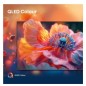 PROMOZIONE Hisense 65 A79Q QLED 4K UHD SMART VIDAA SUB Cod. 65A79Q TV PROMOZIONE Hisense 65 A79Q QLED 4K UHD SMART VIDAA SUB Cod. 65A79Q TV