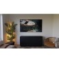 PROMOZIONE Samsung TV 65  OLED 4K Cod. QE65S85HAEXZT TV