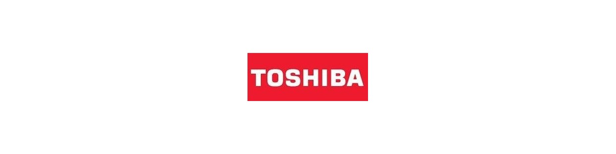 Dual Split Toshiba